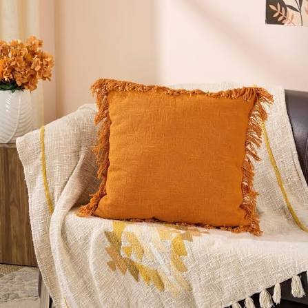 Cushion Pillow